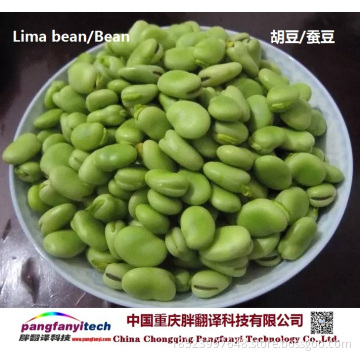 Natural Nutritional Tasty Self-planted Dried Lima Bean
